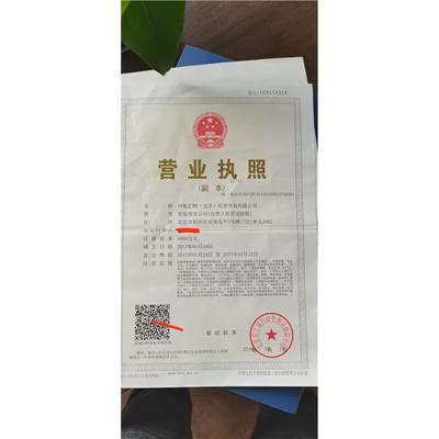 北京代辦公司 專業(yè)高效的法律事務(wù)代理服務(wù)與簡(jiǎn)化流程