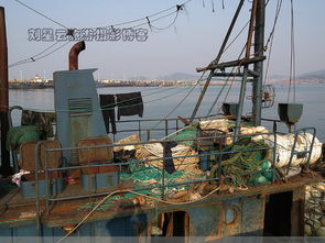 油貴魚少虧本，威海漁港大船不出海實拍背后 畜牧漁業飼料銷售困境與出路探析