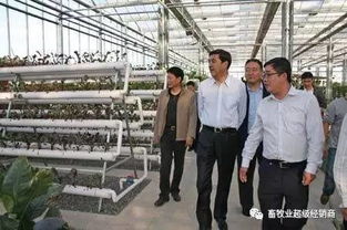 畜牧業(yè)超級(jí)經(jīng)銷商商學(xué)院第三期招生開啟 賦能飼料銷售新未來