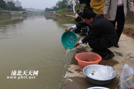 生態修復，漁業振興——浦北縣水產畜牧獸醫局成功舉辦漁業資源人工增殖放流活動