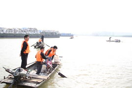 固鎮(zhèn)縣畜牧獸醫(yī)水產(chǎn)局積極實(shí)施漁業(yè)增殖放流 保障生態(tài)平衡與飼料銷售協(xié)同發(fā)展