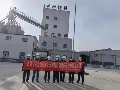 筑牢安全防線，保障市場供應——市畜牧業(yè)服務中心開展春節(jié)前飼料生產(chǎn)企業(yè)安全生產(chǎn)與銷售專項檢查